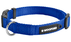 Essential Nylon Dog Collar