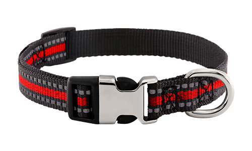 Reflective Dog Collar with Buckle