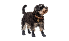 Sport Dog Shoe Socks