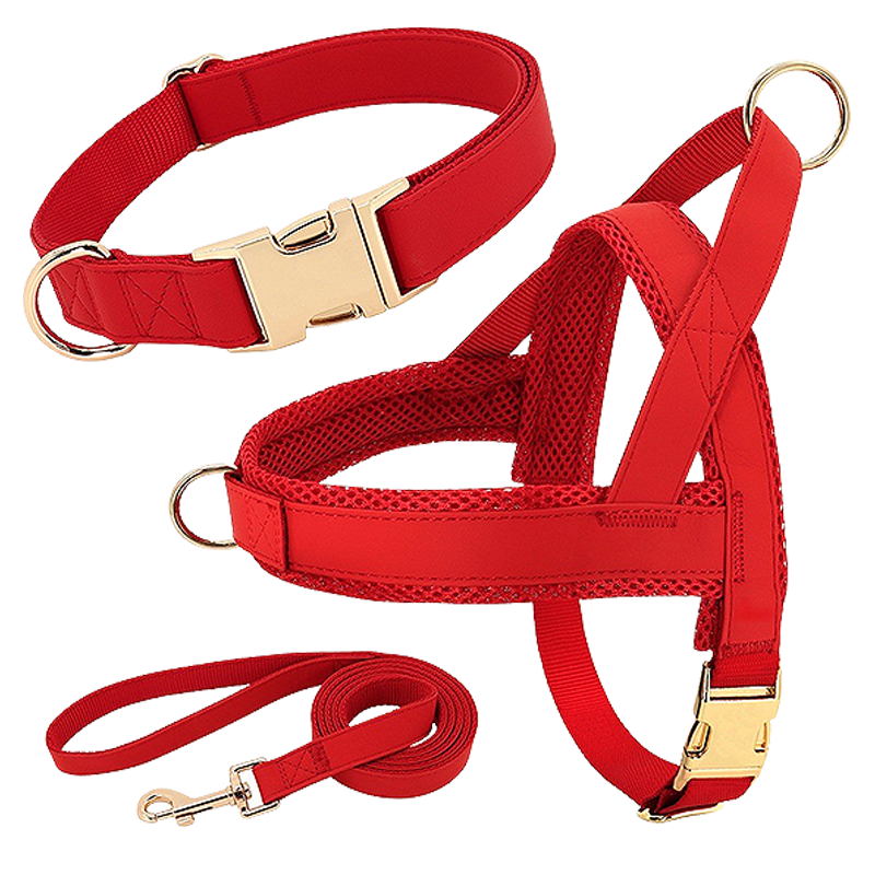 Dog Harness Kit with Collar and Leash