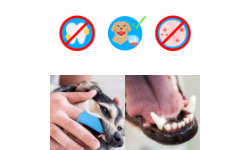 360º Silicone Finger Toothbrush for Dogs