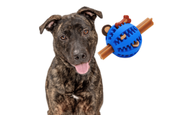 Interactive Dog Treat Dispenser Ball – Rubber Chew Dog Toy for Enrichment