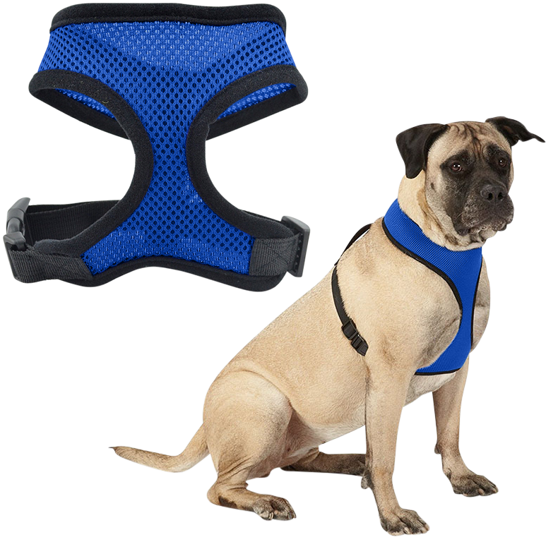 Dog Harness